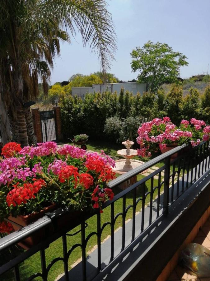 B&B Villa Salome' San Pietro Clarenza Extérieur photo